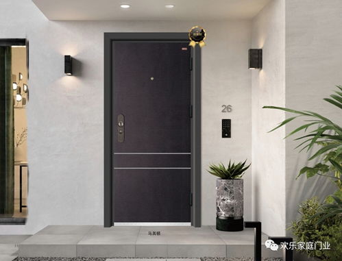 歡樂家庭門業2020年高端防護安全門最新樣品賞析